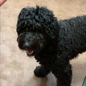 Meet your Posher, Sherry